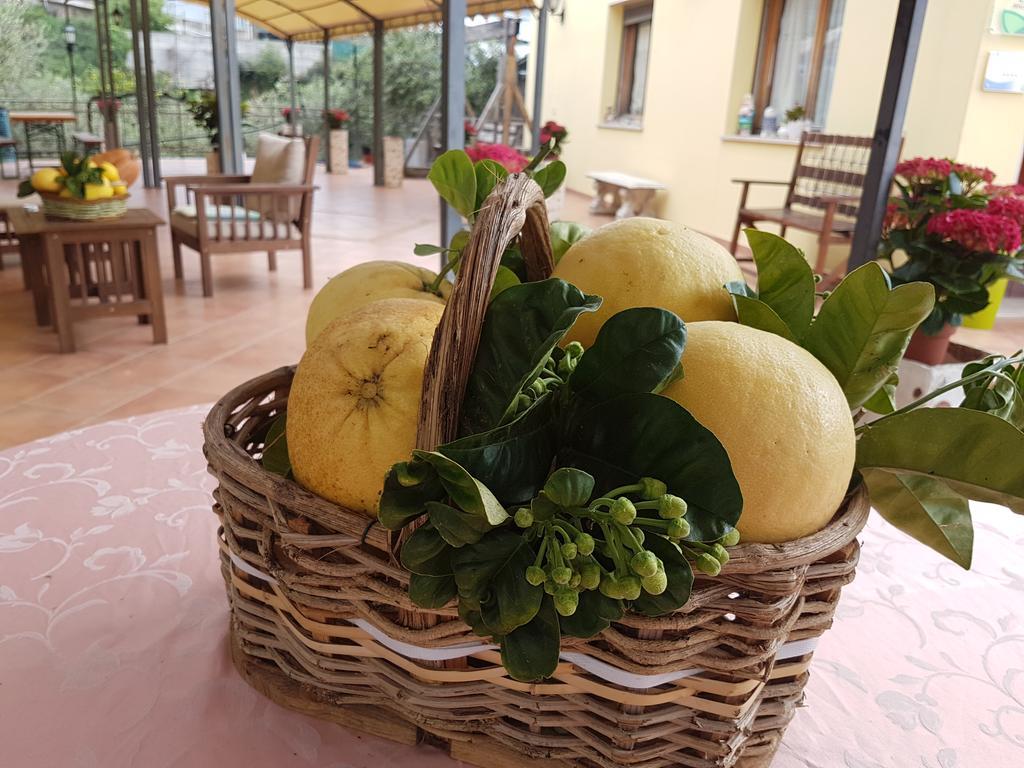 Agriturismo Al Nido Degli Aironi Sanremo Eksteriør billede