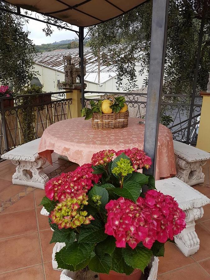Agriturismo Al Nido Degli Aironi Sanremo Eksteriør billede