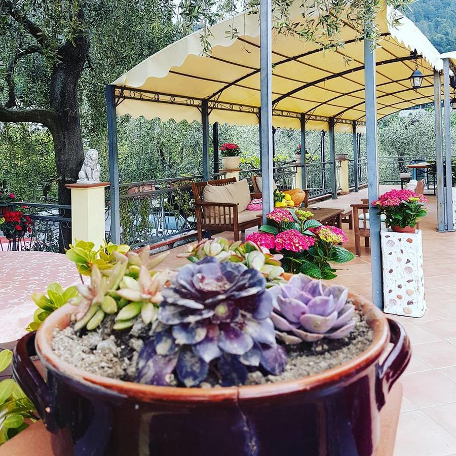 Agriturismo Al Nido Degli Aironi Sanremo Eksteriør billede