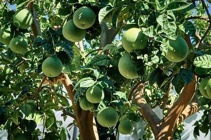 Agriturismo Al Nido Degli Aironi Sanremo Eksteriør billede