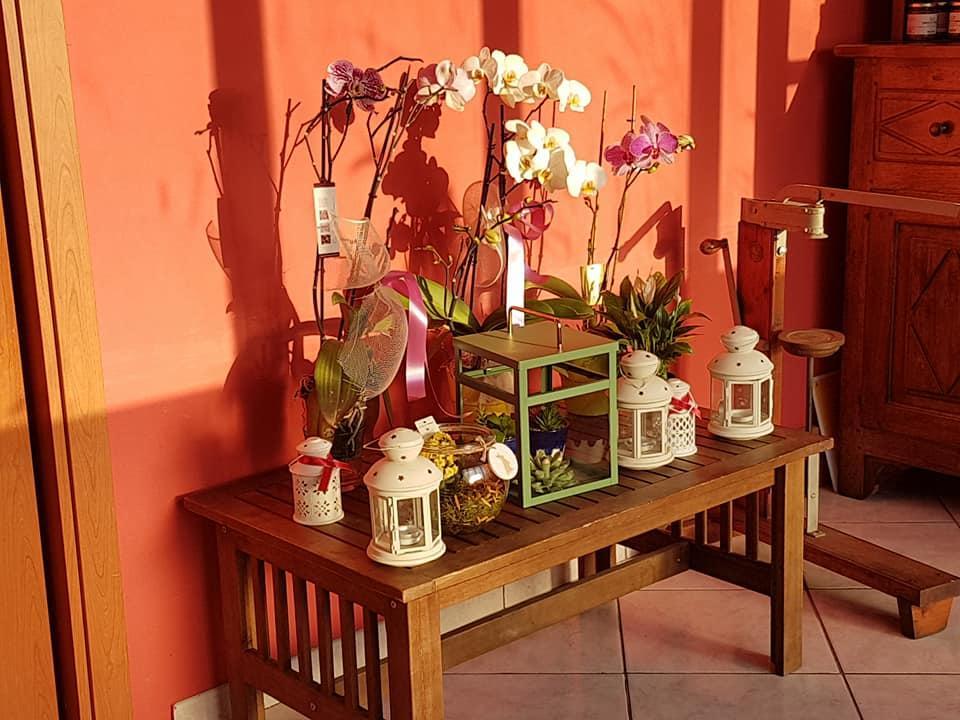 Agriturismo Al Nido Degli Aironi Sanremo Eksteriør billede