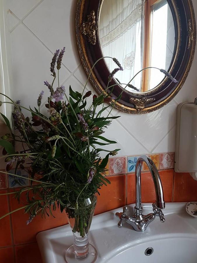 Agriturismo Al Nido Degli Aironi Sanremo Eksteriør billede