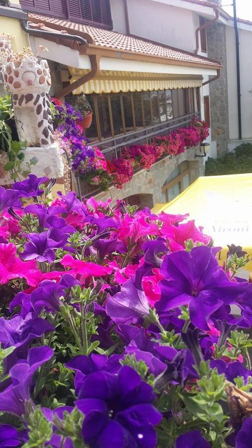 Agriturismo Al Nido Degli Aironi Sanremo Eksteriør billede